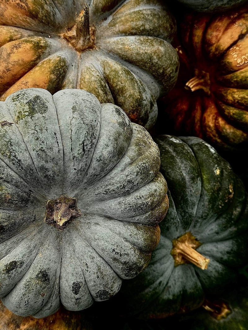 Starry Night Backdrop